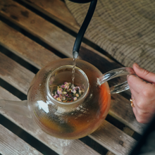 Load image into Gallery viewer, Winter Wellness Box