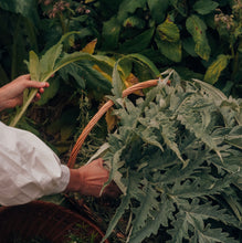 Load image into Gallery viewer, Gift Card