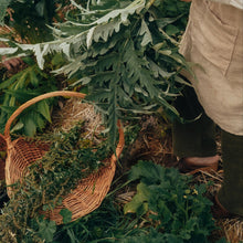 Load image into Gallery viewer, Intuitive Nature