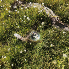 Load image into Gallery viewer, Earthly Devoted