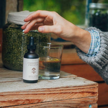 Load image into Gallery viewer, Embodied Creator