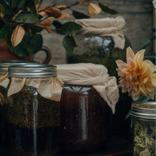 Load image into Gallery viewer, Annual Wellness Subscription