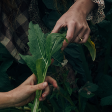 Load image into Gallery viewer, Gift Card